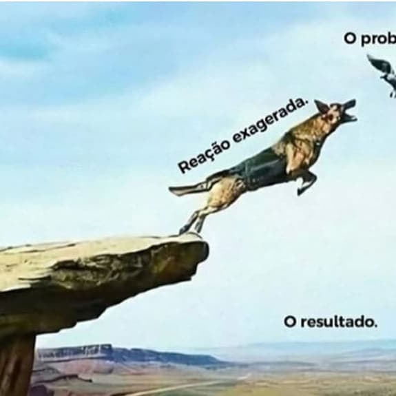 Imagem do Usuário